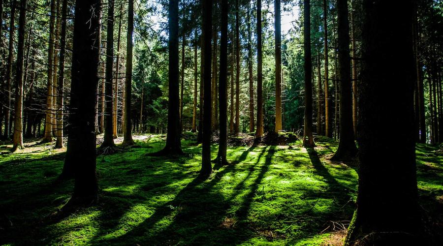 2026'da Elektrik Faturalarını Yarıya İndirmenin 7 Akıllı Yolu