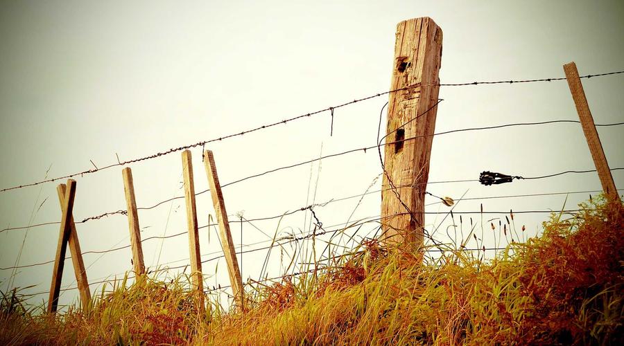 2026'da Elektrik Faturalarıyla Nasıl Başa Çıkılır? Akıllı Tüketimin Geleceği